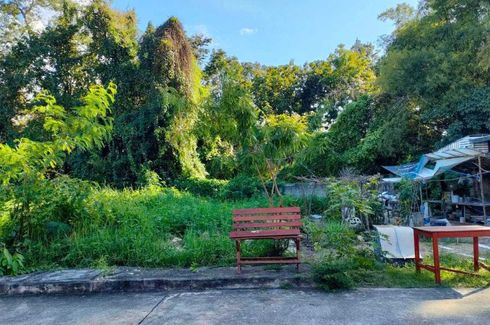 Land for sale in San Kamphaeng, Chiang Mai