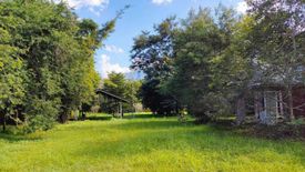 Land for sale in Samoeng Tai, Chiang Mai
