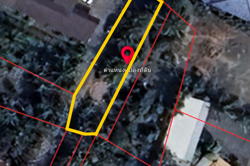 Land for sale in Choeng Doi, Chiang Mai