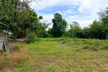 Land for sale in Pa Pong, Chiang Mai