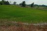 Land for sale in Makham Sung, Phitsanulok
