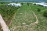 Land for sale in Khao Khan Song, Chonburi