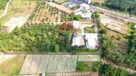 Land for sale in Sai Thai, Krabi