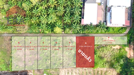 Land for sale in Sai Thai, Krabi