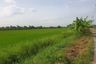 Land for sale in Salaya, Nakhon Pathom