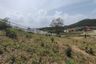 Land for sale in Wang Phong, Prachuap Khiri Khan