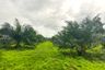 Land for sale in Thung Maphrao, Phang Nga