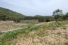 Land for sale in Wang Phong, Prachuap Khiri Khan