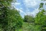 Land for Sale or Rent in Don Pho Thong, Suphan Buri
