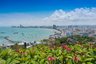 33 Bedroom Apartment for sale in Nong Prue, Chonburi