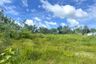 Land for Sale or Rent in Chalong, Phuket