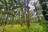 Land for sale in Khao Khram, Krabi