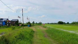Land for sale in Sisa Krabue, Nakhon Nayok
