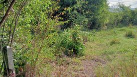 Land for sale in Wang Chan, Tak