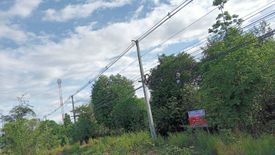 Land for sale in Wang Chan, Tak