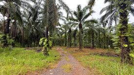 Land for sale in Khao Khram, Krabi