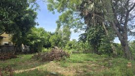 Land for sale in Chamaep, Phra Nakhon Si Ayutthaya