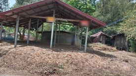 Land for sale in Kut Hae, Yasothon