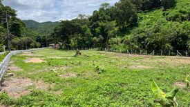 Land for sale in Ban Pong, Chiang Mai