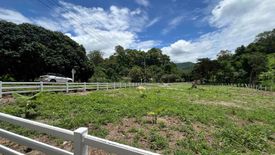 Land for sale in Ban Pong, Chiang Mai