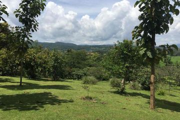 Land for sale in Sop Poeng, Chiang Mai