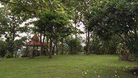Land for sale in Sop Poeng, Chiang Mai