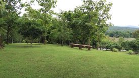 Land for sale in Sop Poeng, Chiang Mai