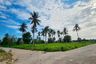 Land for sale in Nong Pla Lai, Chonburi