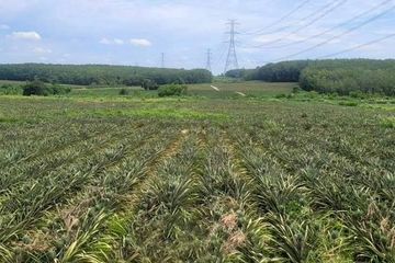 Land for sale in Khao Khan Song, Chonburi