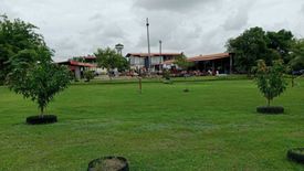 Land for sale in Tha Thong, Phitsanulok