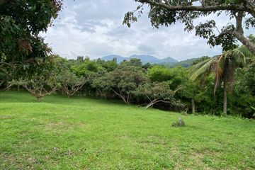 Land for sale in Mae Raem, Chiang Mai