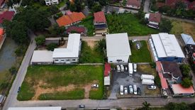 Land for sale in Nong Chom, Chiang Mai