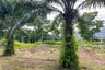 Land for sale in Krasom, Phang Nga