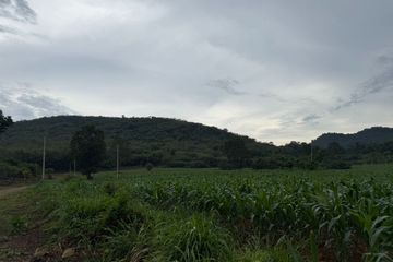 Land for sale in Nong Nam Daeng, Nakhon Ratchasima