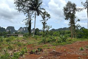 Land for sale in Thap Prik, Krabi