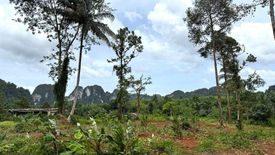 Land for sale in Thap Prik, Krabi