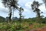 Land for sale in Thap Prik, Krabi
