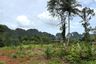 Land for sale in Thap Prik, Krabi