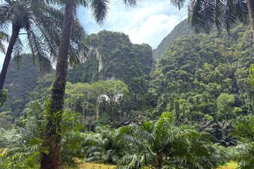 Land for sale in Khao Thong, Krabi