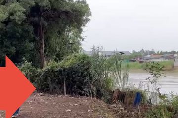 Land for sale in Phukhao Thong, Phra Nakhon Si Ayutthaya