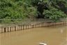Land for sale in Phukhao Thong, Phra Nakhon Si Ayutthaya