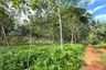 Land for sale in Khao Thong, Krabi