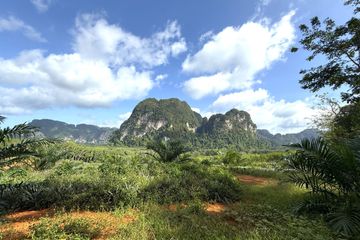 Land for sale in Khao Thong, Krabi