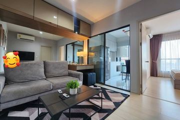 1 Bedroom Condo for rent in Life Sukhumvit 48, Phra Khanong, Bangkok near BTS Phra Khanong