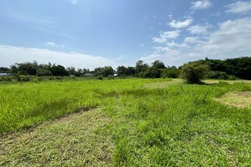 Land for sale in Pa Phai, Chiang Mai