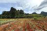 Land for sale in Khao Thong, Krabi