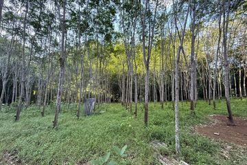 Land for sale in Sai Thai, Krabi