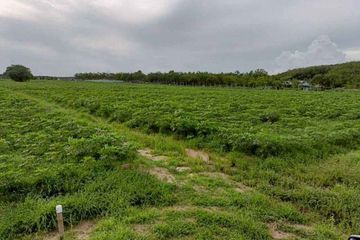 Land for sale in Makham Khu, Rayong