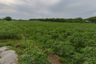 Land for sale in Makham Khu, Rayong