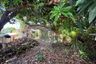 Land for sale in Nong Prue, Chonburi